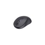 Wireless Bluetooth/Wireless Mouse