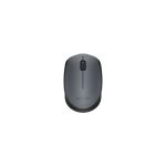 Logitech M171 Wirelerss Mouse