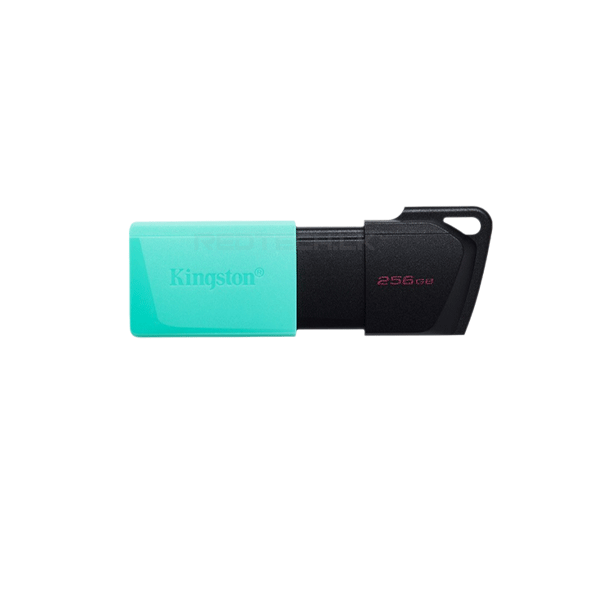 256GB Kingston USB 3.2 Pen Drive